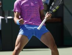 乐鱼app-日本网球队横扫世界网球队，阿尔卡拉斯高光表现的简单介绍