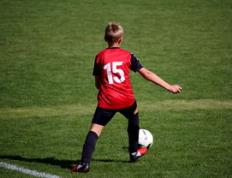 乐鱼体育网站入口-法国乒乓球队强势比利时乒乓球队，张本智和惊艳世界