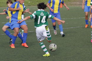 乐鱼体育app-美国逆转日本，博格巴制霸全场